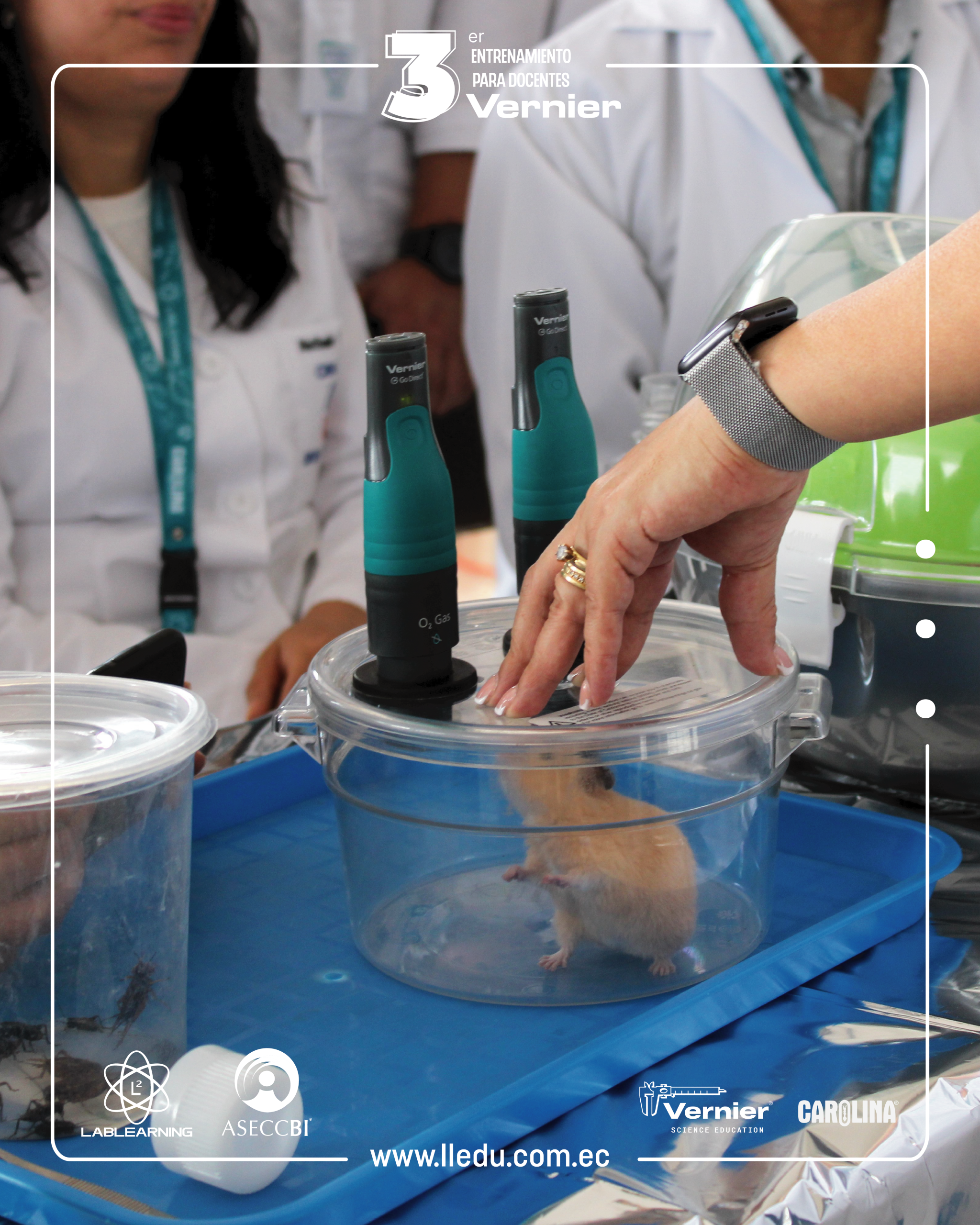 25_Mesa de trabajo 1